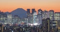 Tokyo cityscape and Mountain fuji at twilight Royalty Free Stock Photo