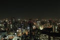 Tokyo cityscape at night Royalty Free Stock Photo
