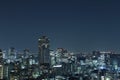 Tokyo cityscape at night Royalty Free Stock Photo