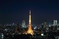 Tokyo cityscape at night, Japan