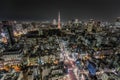 Tokyo cityscape night view. Tokyo tower in the back. Royalty Free Stock Photo