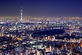 Tokyo Cityscape Royalty Free Stock Photo