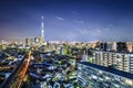 Tokyo Cityscape with Skytree Royalty Free Stock Photo