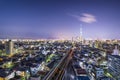 Tokyo Cityscape with Skytree Royalty Free Stock Photo