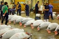 Tokyo fish market