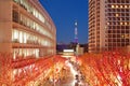 Tokyo Illuminations of the Christmas light Royalty Free Stock Photo