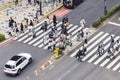 aerial view of a zebra crossing with crowds of people in Shibuya district,Tokyo, Japan