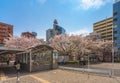 Japanese Koban police station at Someiyoshino Sakura Memorial Park in Komagome.