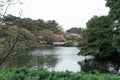 Evening time in Shinjuku Gyoen National Garden with cherry blossoms