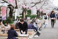 Tokyo, Japan - April 2, 2019: Happy Japanese celebrate make picnic near sakura cherry blossom trees, drink, eat