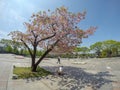 Japanese mother brings her baby to see outside atmosphere at par