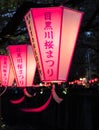 Paper lanterns lit at night during cherry blossom festival on Meguro river Royalty Free Stock Photo