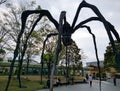 Sculpture of a spider Maman - Tokyo Spider Maman