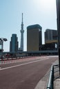 Skyline building and Tokyo Skytree tower, famous landmark near Sumida river, view from Asakusa