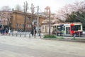 TOKYO, JAPAN - APRIL 1ST, 2016: Cherry Blossoms tree on Street.