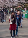 Japanese Couple Enjoying Cherry Blossom Season, Ueno Park, Tokyo, Japan Royalty Free Stock Photo