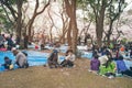 TOKYO, JAPAN - APRIL 1ST, 2016: Tokyo Crowd enjoying Cherry blossoms festival in Ueno Park