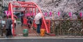 People With Umbrella On A Bridge During Cherry Blossoms Season, Tokyo, Japan Royalty Free Stock Photo