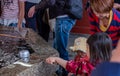 Water Purifying Ritual, Sensoji Temple, Tokyo, Japan Royalty Free Stock Photo