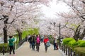 Tokyo, Japan - April 3, 2015 : Tokyo crowd enjoying cherry blossoms festival in Ueno Park