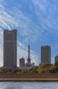 Tokyo tower between the skyscrapers of Shiodome and Hamarikyu Gardens. Royalty Free Stock Photo