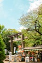 Ueno Park Toshogu shrine Torii gate and store in Tokyo, Japan Royalty Free Stock Photo