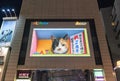 Screen advertising the anniversary of the 3D cat at Shinjuku Stationâs east exit.