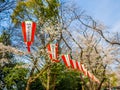 Tokyo, Japan - August 24, 2017: Close up of a japanesse letter ins a lanter, hanging during the cherry blossoms festival