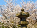 Tokyo, Japan - August 24, 2017: Close up of a rock statue of people enjoying the cherry blossoms festival in Ueno Park