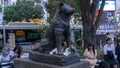 Close up of statue of Hachiko famous in Japan and a cat sleeping under it