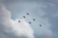 Japanese aviation squadron of blue impulse in delta formation flying for Tokyo 2020 Paralympic Games.