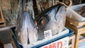 Tuna fish displayed at Tsukiji Outer Fish Market, world`s largest fish and seafood market, Tokyo, Japan Royalty Free Stock Photo