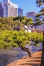 Authentic building in the territory by the Emperor palace of Japan on background of skyscrapers. Royalty Free Stock Photo