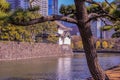 Authentic building in the territory by the Emperor palace of Japan on background of skyscrapers. Royalty Free Stock Photo