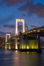 Rainbow bridge in Tokyo, Japan - vertical view Royalty Free Stock Photo