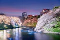 Tokyo, Japan at Chidorigafuchi Imperial Palace Moat Royalty Free Stock Photo