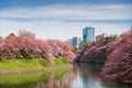 Tokyo, Japan at Chidorigafuchi Imperial Palace moat