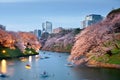 Tokyo, Japan at Chidorigafuchi Imperial Palace Moat Royalty Free Stock Photo