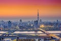 Tokyo, Japan City Skyline at Dusk Royalty Free Stock Photo