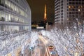 Tokyo Japan, City view Winter light illuminations at Roppongi Hill on display, with illuminated buildings & trees and Tokyo Tower Royalty Free Stock Photo