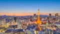 Tokyo, Japan cityscape Panorama at Dusk Royalty Free Stock Photo