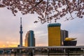 Tokyo, Japan cityscape on the Sumida River Royalty Free Stock Photo