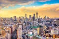 Tokyo, Japan Cityscape Royalty Free Stock Photo