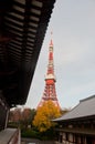 TOKYO, JAPAN - DECEMBER 1, 2018: Scene of Tokyo tower nearby Zojo-ji Buddhist temple. This is a famous temple