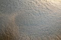 Surface of fermentation mash of sake or seishu Royalty Free Stock Photo