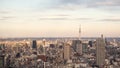 Tokyo, JAPAN - February 13, 2017: Tokyo city view. Royalty Free Stock Photo