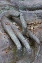 Tokyo, Japan - Hand of a Buddha statue in the garden of the Nez Royalty Free Stock Photo