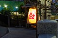 Tokyo, Japan - Jan 19, 2020: ueno park at night.