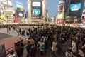 TOKYO, JAPAN - JANUARY 28, 2017: Shibuya District in Tokyo. Famous and busiest intersection in the world, Japan. Shibuya Crossing Royalty Free Stock Photo