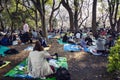 Tokyo, Japan, 04/04/2017: The Japanese are sitting in a park under the blossoming sakura trees. Hanami festival